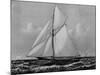 Photograph of Sketch of the Thistle, the Losing Scottish Entry in Race for America's Cup in 1887-null-Mounted Photographic Print