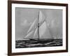 Photograph of Sketch of the Thistle, the Losing Scottish Entry in Race for America's Cup in 1887-null-Framed Photographic Print
