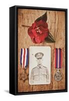 Photograph of Soldier in Uniform-Steve Allsopp-Framed Stretched Canvas