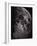 Photograph of the Moon in 1865-Lewis M. Rutherford-Framed Giclee Print