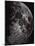 Photograph of the Moon in 1865-Lewis M. Rutherford-Mounted Giclee Print