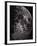 Photograph of the Moon in 1865-Lewis M. Rutherford-Framed Giclee Print