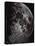 Photograph of the Moon in 1865-Lewis M. Rutherford-Stretched Canvas