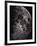 Photograph of the Moon in 1865-Lewis M. Rutherford-Framed Giclee Print