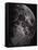 Photograph of the Moon in 1865-Lewis M. Rutherford-Framed Stretched Canvas