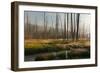 Photograph of the Valley of the Gibbon River as it Receives the First Rays of Sun-Jordi Elias Grassot-Framed Photographic Print