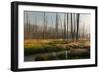 Photograph of the Valley of the Gibbon River as it Receives the First Rays of Sun-Jordi Elias Grassot-Framed Photographic Print