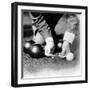 Photograph Showing the Measuring from a 'Jack' During a Game of Bowls, Britain, 1903-null-Framed Photographic Print