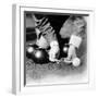 Photograph Showing the Measuring from a 'Jack' During a Game of Bowls, Britain, 1903-null-Framed Photographic Print