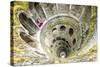 Photographer at Top of Spiral Stairs Inside Towers of Initiation Well at Quinta Da Regaleira-Roberto Moiola-Stretched Canvas