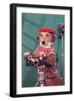 Photographer Dog, Retro-null-Framed Art Print