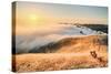 Photographer Sunset and Approaching Fog, San Francisco California-Vincent James-Stretched Canvas