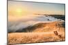Photographer Sunset and Approaching Fog, San Francisco California-Vincent James-Mounted Photographic Print