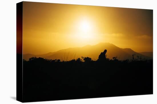 Photographer Trekking Through Sunset, Marin Headlands-Vincent James-Stretched Canvas