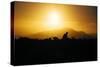 Photographer Trekking Through Sunset, Marin Headlands-Vincent James-Stretched Canvas