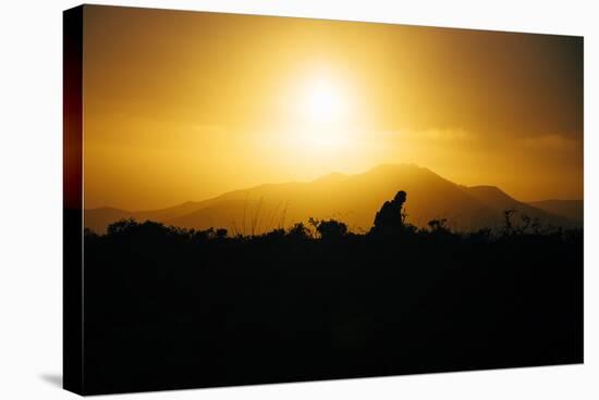 Photographer Trekking Through Sunset, Marin Headlands-Vincent James-Stretched Canvas