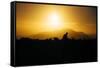 Photographer Trekking Through Sunset, Marin Headlands-Vincent James-Framed Stretched Canvas