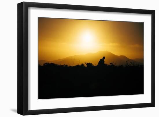 Photographer Trekking Through Sunset, Marin Headlands-Vincent James-Framed Photographic Print