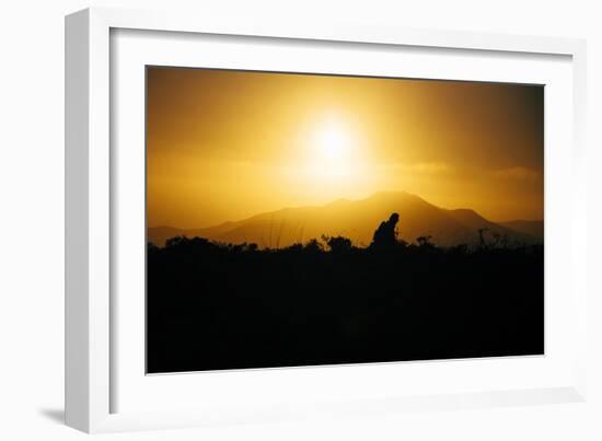 Photographer Trekking Through Sunset, Marin Headlands-Vincent James-Framed Photographic Print