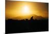 Photographer Trekking Through Sunset, Marin Headlands-Vincent James-Mounted Photographic Print