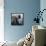 Photographer with Camera, New York-null-Framed Stretched Canvas displayed on a wall