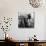 Photographer with Camera, New York-null-Stretched Canvas displayed on a wall