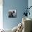 Photographer with Camera, New York-null-Mounted Photographic Print displayed on a wall