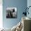 Photographer with Camera, New York-null-Photographic Print displayed on a wall