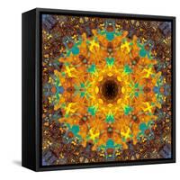 Photographic Kaleidoscope from Flower Images-Alaya Gadeh-Framed Stretched Canvas