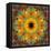 Photographic Kaleidoscope from Flower Images-Alaya Gadeh-Framed Stretched Canvas