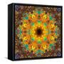 Photographic Kaleidoscope from Flower Images-Alaya Gadeh-Framed Stretched Canvas