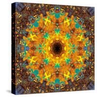 Photographic Kaleidoscope from Flower Images-Alaya Gadeh-Stretched Canvas