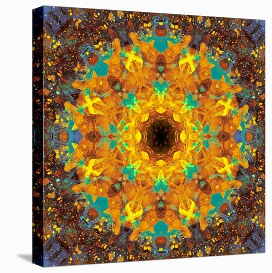 Photographic Kaleidoscope from Flower Images-Alaya Gadeh-Stretched Canvas