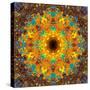 Photographic Kaleidoscope from Flower Images-Alaya Gadeh-Stretched Canvas