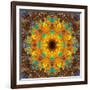 Photographic Kaleidoscope from Flower Images-Alaya Gadeh-Framed Photographic Print