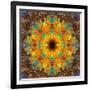 Photographic Kaleidoscope from Flower Images-Alaya Gadeh-Framed Photographic Print