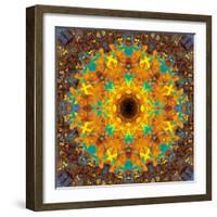 Photographic Kaleidoscope from Flower Images-Alaya Gadeh-Framed Photographic Print