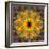 Photographic Kaleidoscope from Flower Images-Alaya Gadeh-Framed Photographic Print