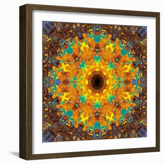 Photographic Kaleidoscope from Flower Images-Alaya Gadeh-Framed Photographic Print