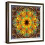 Photographic Kaleidoscope from Flower Images-Alaya Gadeh-Framed Photographic Print