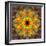 Photographic Kaleidoscope from Flower Images-Alaya Gadeh-Framed Photographic Print