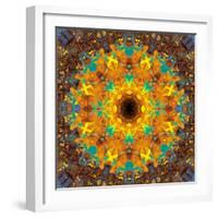 Photographic Kaleidoscope from Flower Images-Alaya Gadeh-Framed Photographic Print