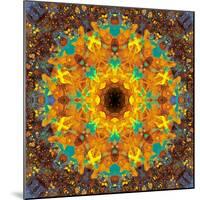 Photographic Kaleidoscope from Flower Images-Alaya Gadeh-Mounted Photographic Print