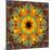 Photographic Kaleidoscope from Flower Images-Alaya Gadeh-Mounted Photographic Print