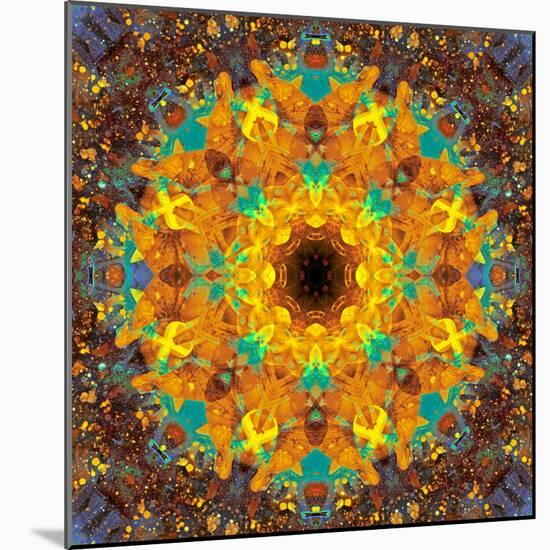 Photographic Kaleidoscope from Flower Images-Alaya Gadeh-Mounted Photographic Print