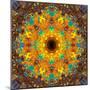 Photographic Kaleidoscope from Flower Images-Alaya Gadeh-Mounted Photographic Print