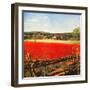 "Photographic Landscape,"August 1, 1945-R.A. Mawhinney-Framed Giclee Print