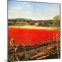 "Photographic Landscape,"August 1, 1945-R.A. Mawhinney-Mounted Giclee Print