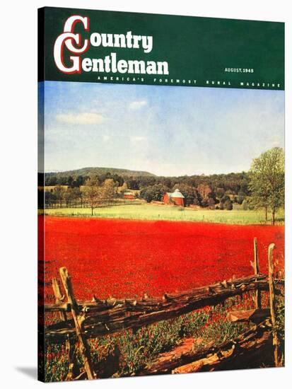"Photographic Landscape," Country Gentleman Cover, August 1, 1945-R.A. Mawhinney-Stretched Canvas