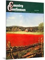 "Photographic Landscape," Country Gentleman Cover, August 1, 1945-R.A. Mawhinney-Mounted Giclee Print